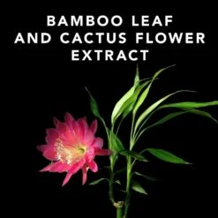 Vaporisateur Spray-gel Volumisant "Volupt Spray" Soulève Racine Volume Intense - Pour Les Cheveux Fins 19 Vaporisateur Spray-gel Volumisant "Volupt Spray" Soulève Racine Volume Intense - Pour Les Cheveux Fins -Moroccanoil FR Shop image 934